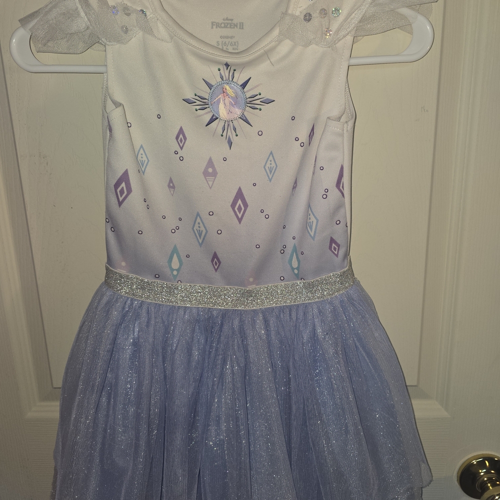 Disney Frozen Costume Dress - Purple and Silver